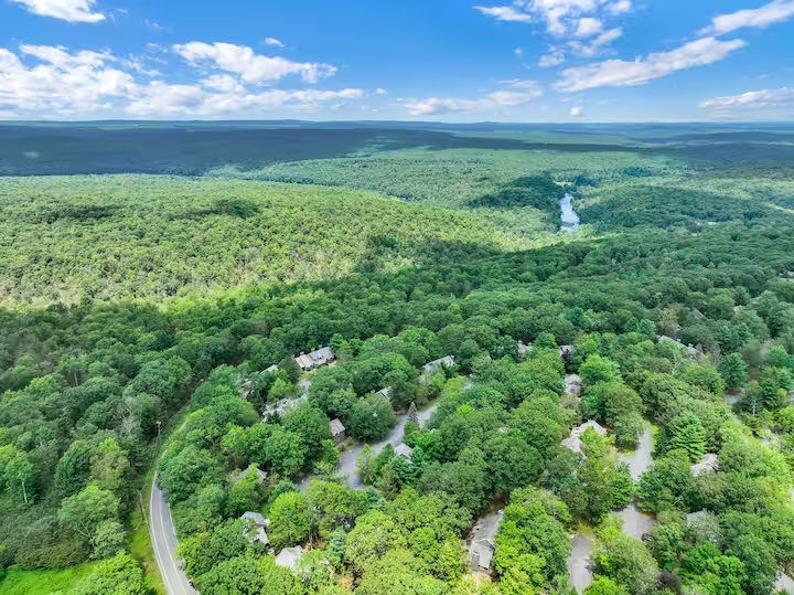 Green forest and the Lehigh River valley in summer